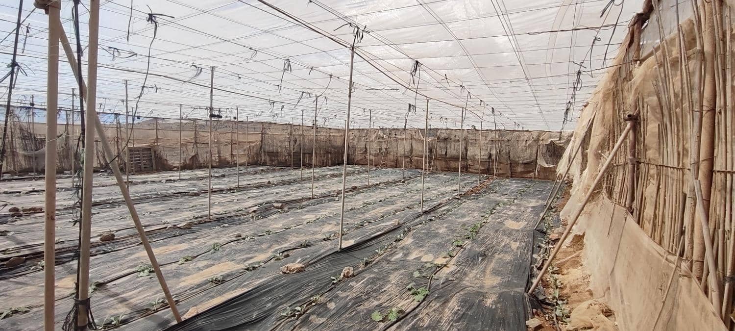 Grunde uden byggetilladelser til salg i Chimiche - € 156.800 (Ref: 8879832)