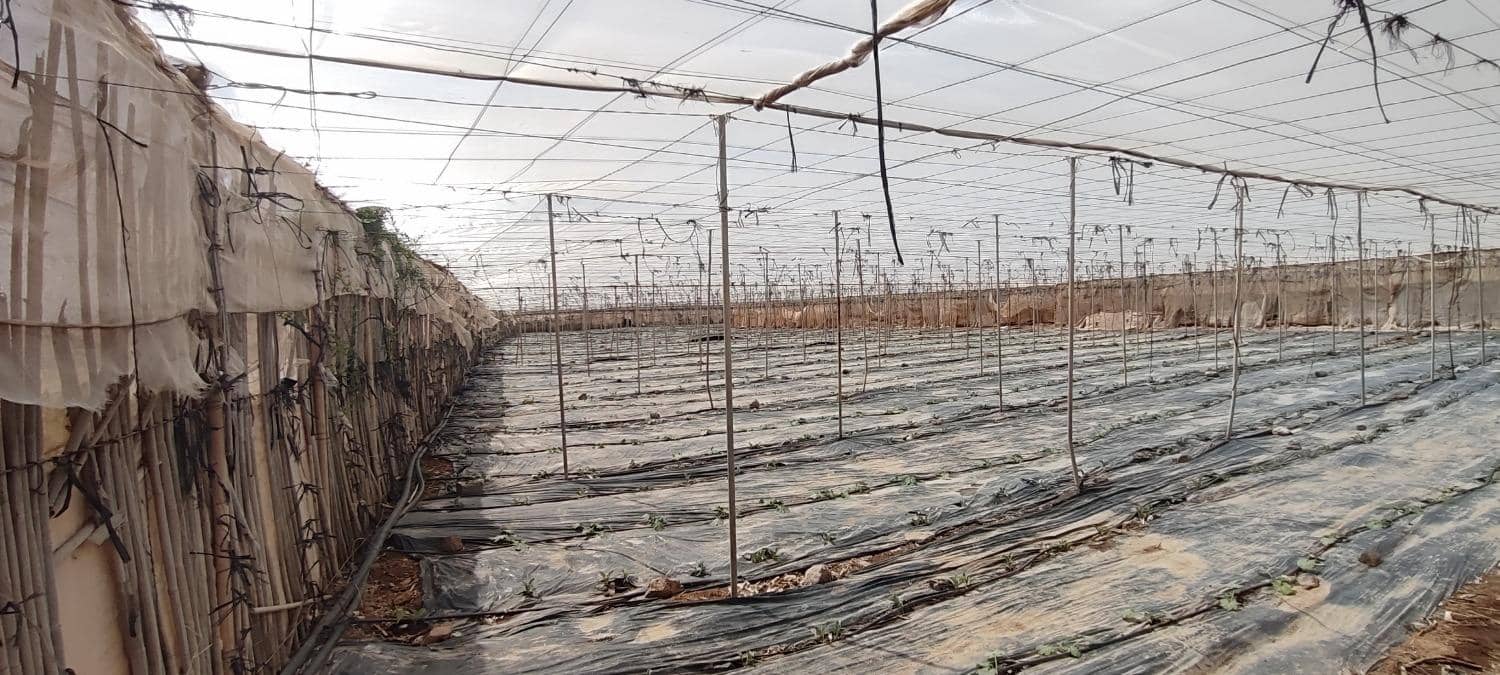 Grunde uden byggetilladelser til salg i Chimiche - € 156.800 (Ref: 8879832)