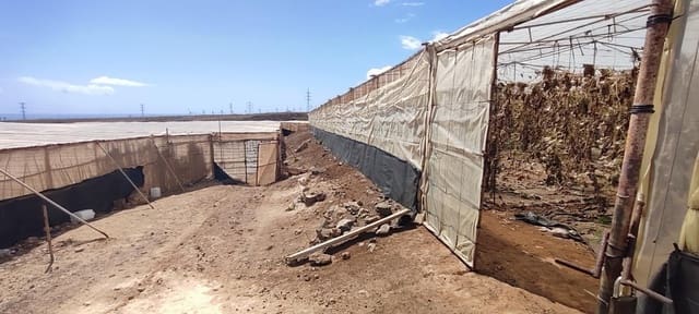 Undeveloped Land for sale in Chimiche, Granadilla de Abona - € 156,800 (Ref: 8879832)