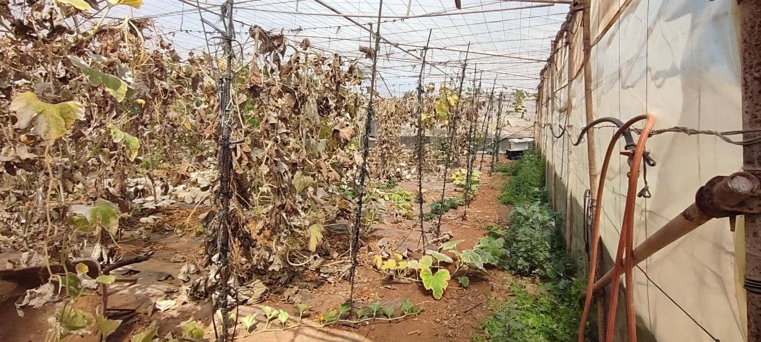 Grunde uden byggetilladelser til salg i Chimiche - € 156.800 (Ref: 8879832)