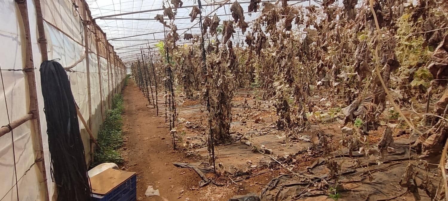 Grunde uden byggetilladelser til salg i Chimiche - € 156.800 (Ref: 8879832)