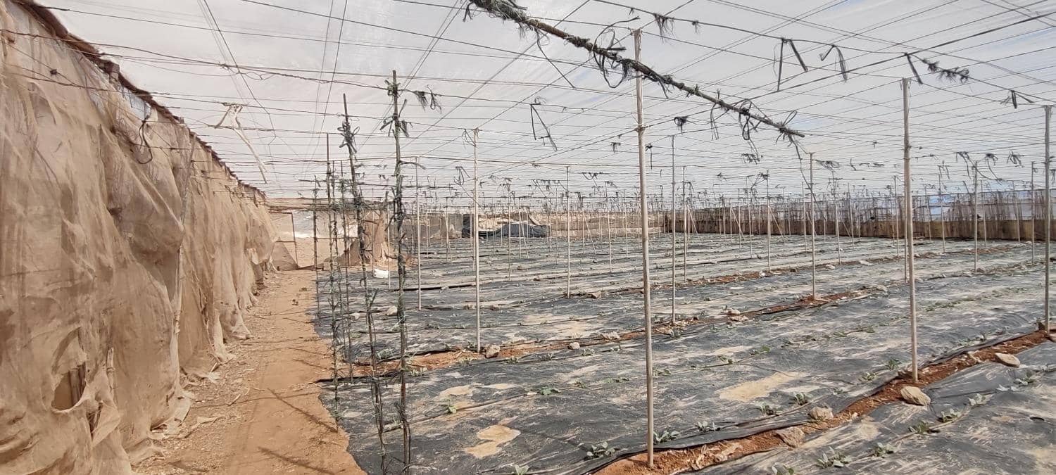 Grunde uden byggetilladelser til salg i Chimiche - € 156.800 (Ref: 8879832)