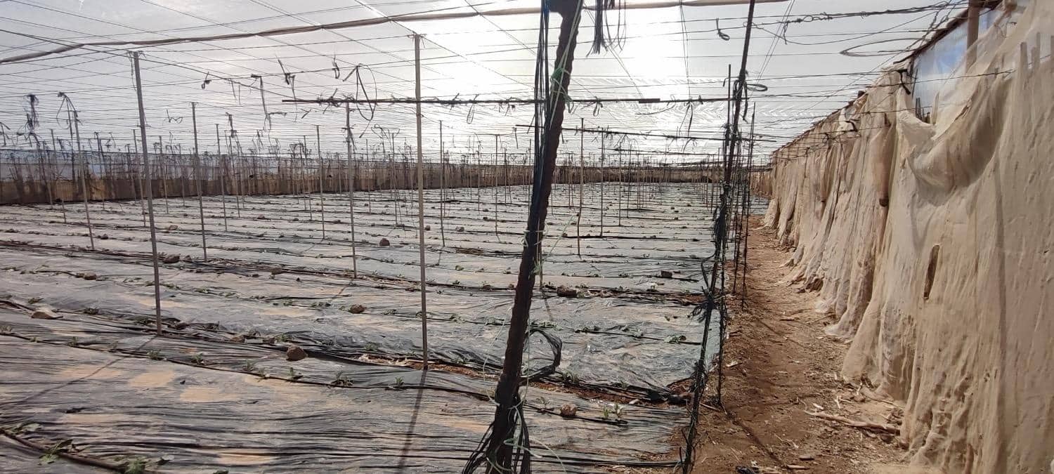 Grunde uden byggetilladelser til salg i Chimiche - € 156.800 (Ref: 8879832)