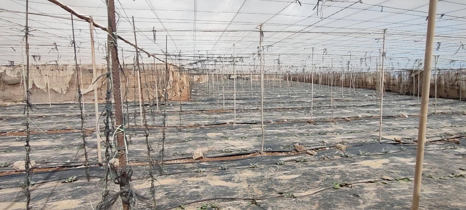 Ubebygd land til salgs i Chimiche - € 147 900 (Ref: 8879832)