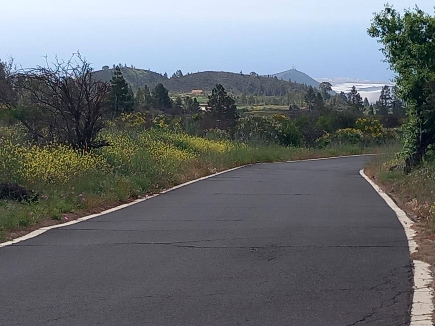 5 soveværelse Finca/Landehus til salg i Vilaflor - € 173.000 (Ref: 9014660)