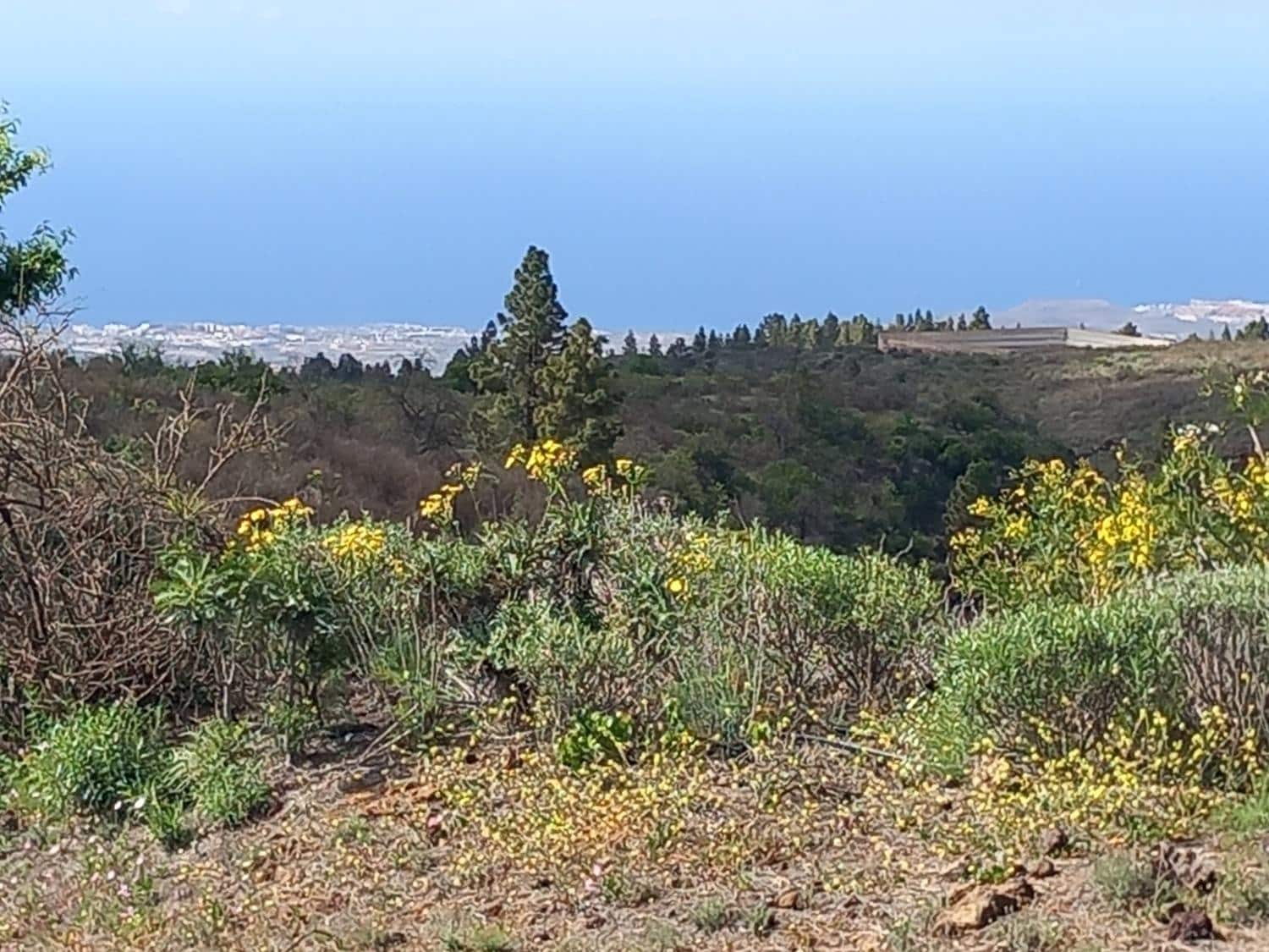 5 soveværelse Finca/Landehus til salg i Vilaflor - € 173.000 (Ref: 9014660)