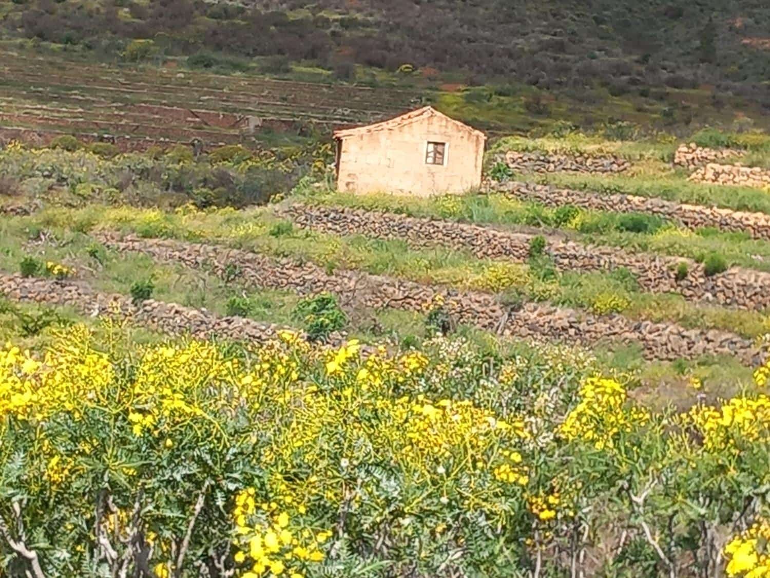 5 soveværelse Finca/Landehus til salg i Vilaflor - € 173.000 (Ref: 9014660)