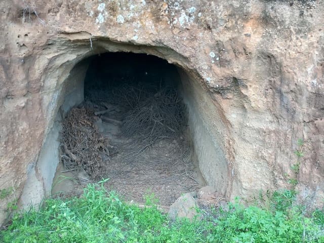 5 soveværelse Finca/Landehus til salg i Vilaflor - € 173.000 (Ref: 9014660)