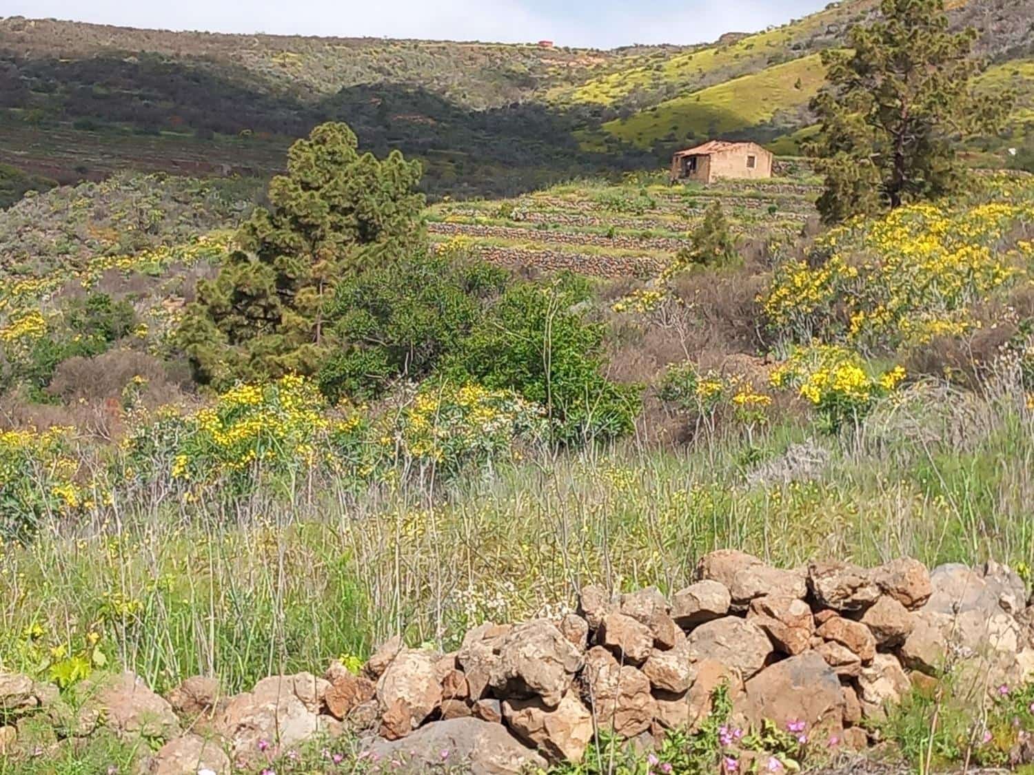 5 soveværelse Finca/Landehus til salg i Vilaflor - € 173.000 (Ref: 9014660)