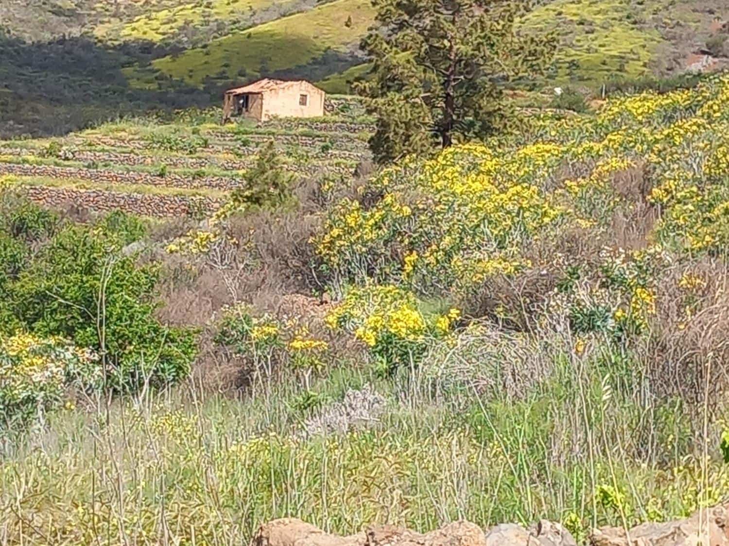 5 soveværelse Finca/Landehus til salg i Vilaflor - € 173.000 (Ref: 9014660)