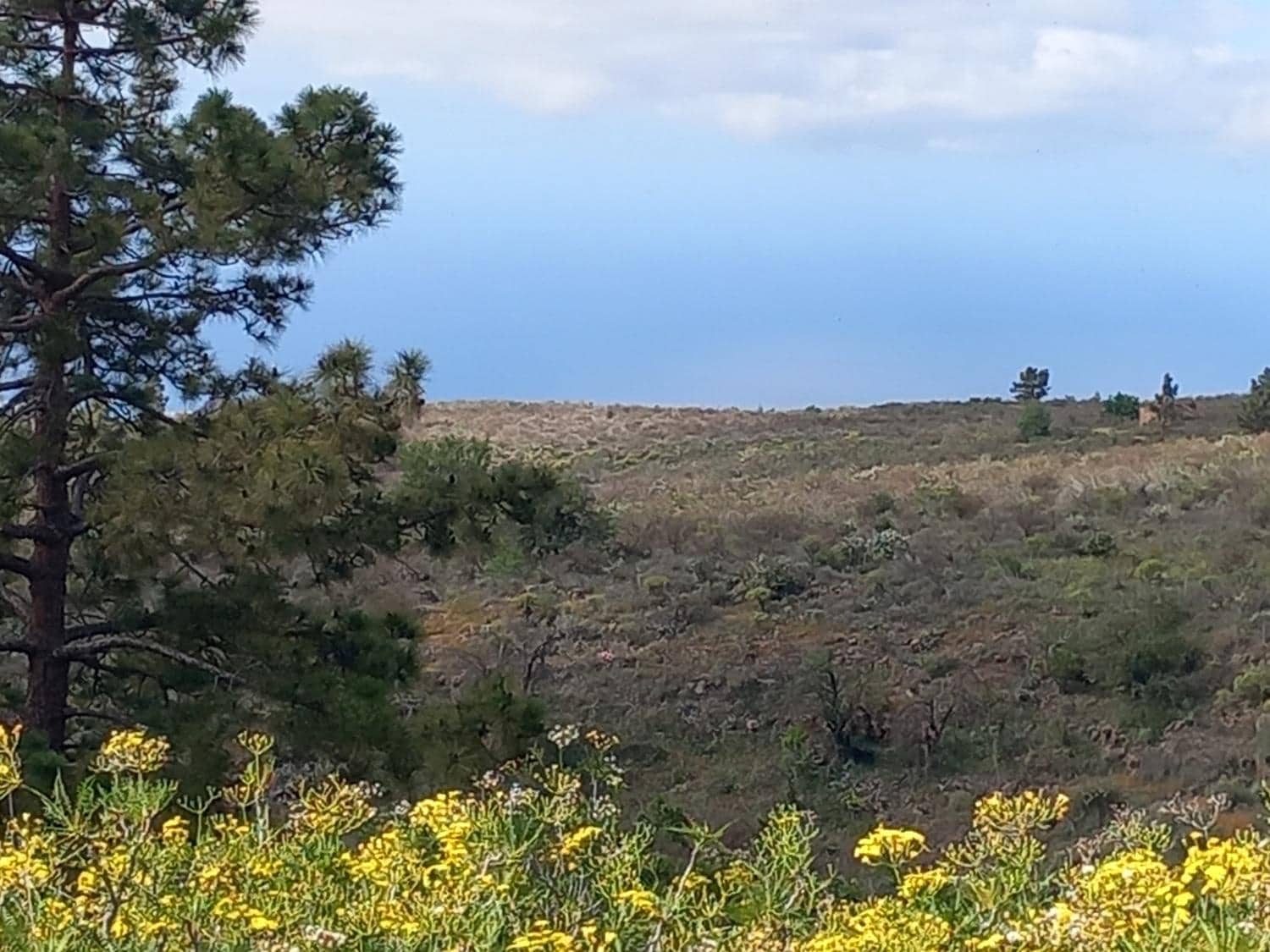 5 soveværelse Finca/Landehus til salg i Vilaflor - € 173.000 (Ref: 9014660)