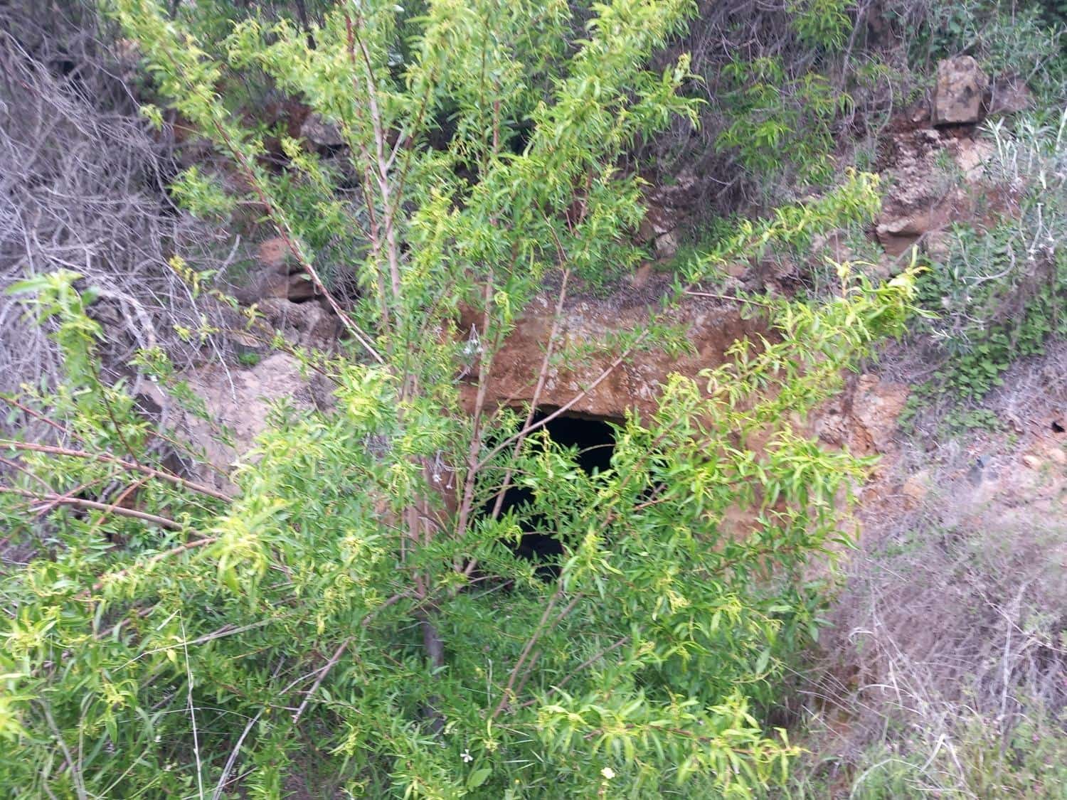 5 soveværelse Finca/Landehus til salg i Vilaflor - € 173.000 (Ref: 9014660)