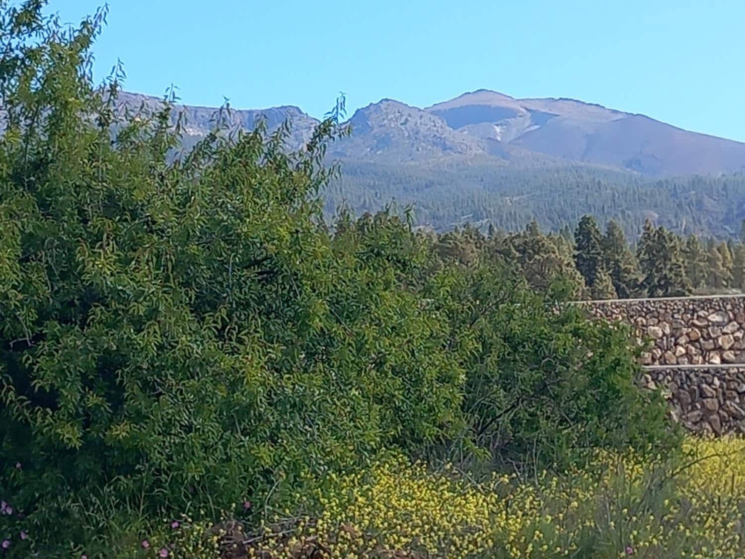 5 soveværelse Finca/Landehus til salg i Vilaflor - € 173.000 (Ref: 9014660)