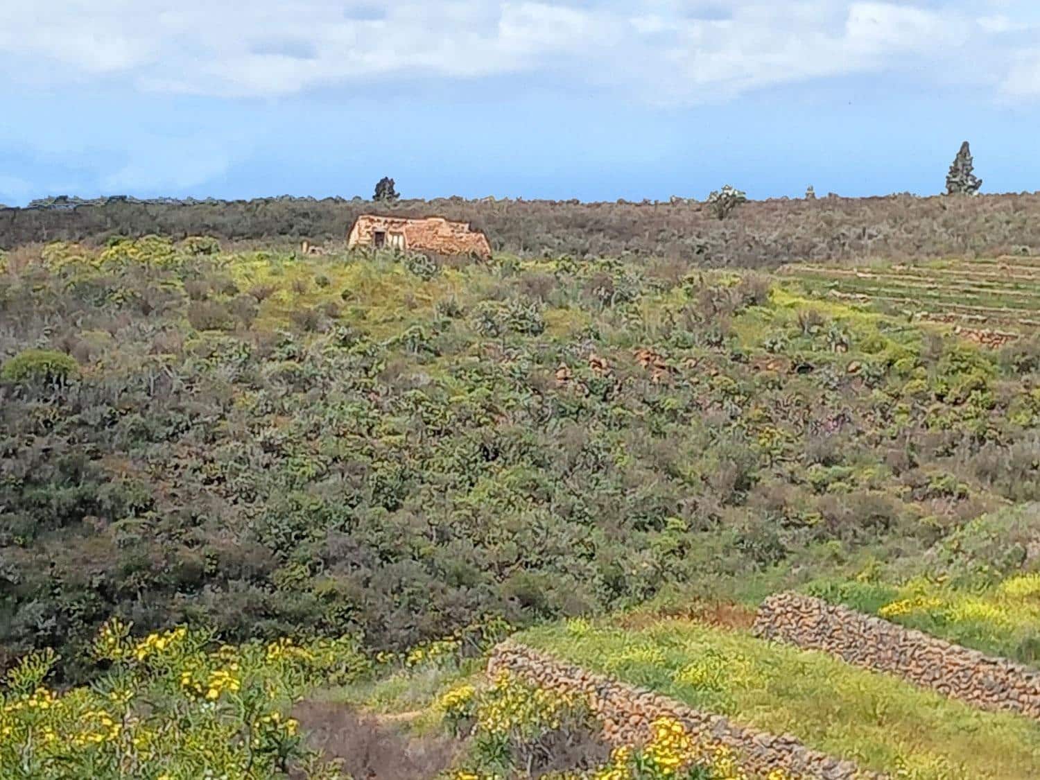 5 soveværelse Finca/Landehus til salg i Vilaflor - € 173.000 (Ref: 9014660)