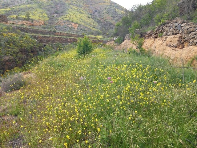 5 soveværelse Finca/Landehus til salg i Vilaflor - € 173.000 (Ref: 9014660)