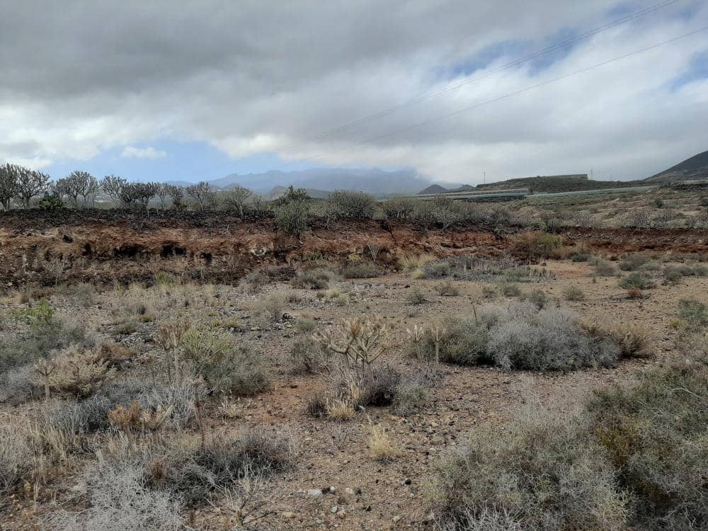 Grunde uden byggetilladelser til salg i San Isidro de Abona - € 80.000 (Ref: 9189640)