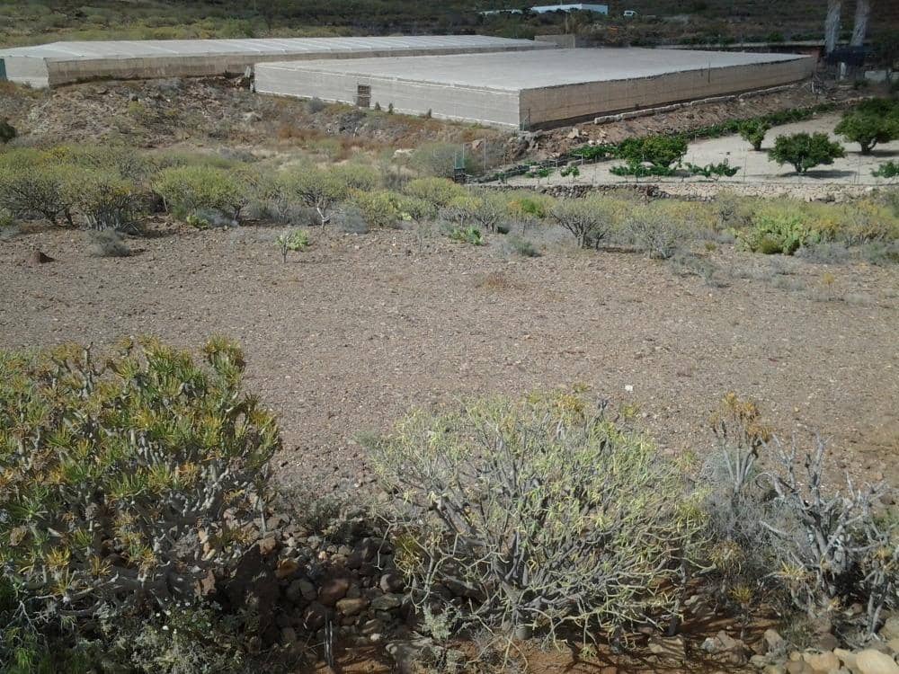 Grunde uden byggetilladelser til salg i San Isidro de Abona - € 80.000 (Ref: 9189640)