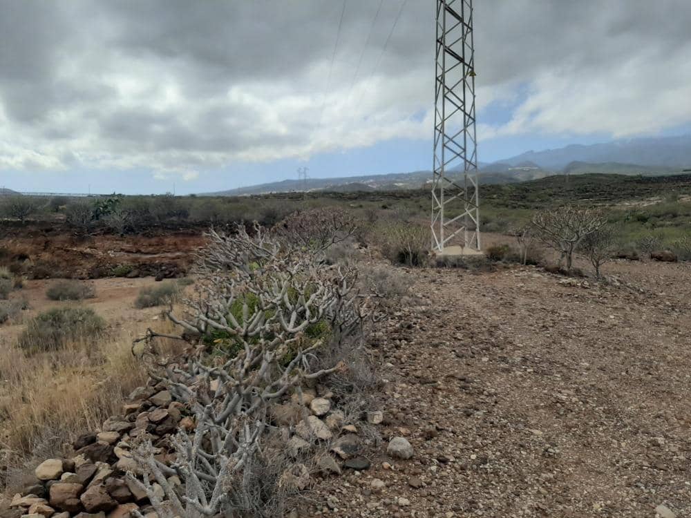 Grunde uden byggetilladelser til salg i San Isidro de Abona - € 80.000 (Ref: 9189640)