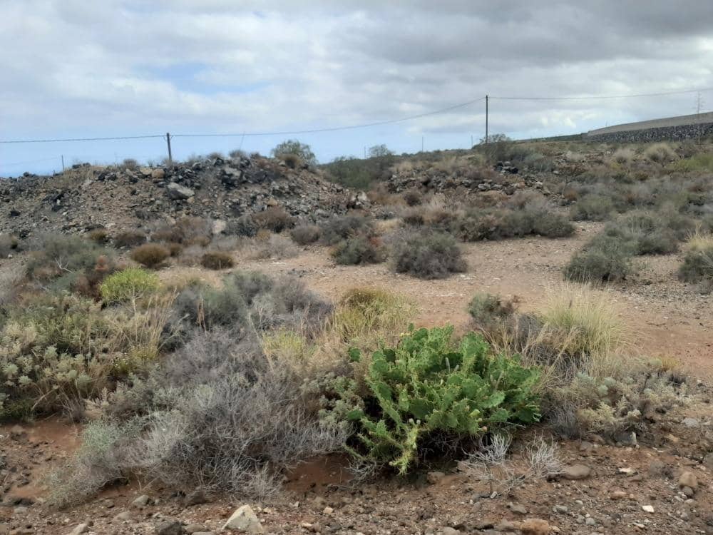 Grunde uden byggetilladelser til salg i San Isidro de Abona - € 80.000 (Ref: 9189640)