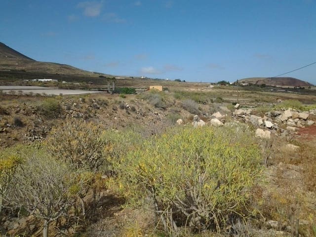 Terre non Aménagée à vendre à San Isidro de Abona, Granadilla de Abona - 80 000 € (Ref: 9189640)