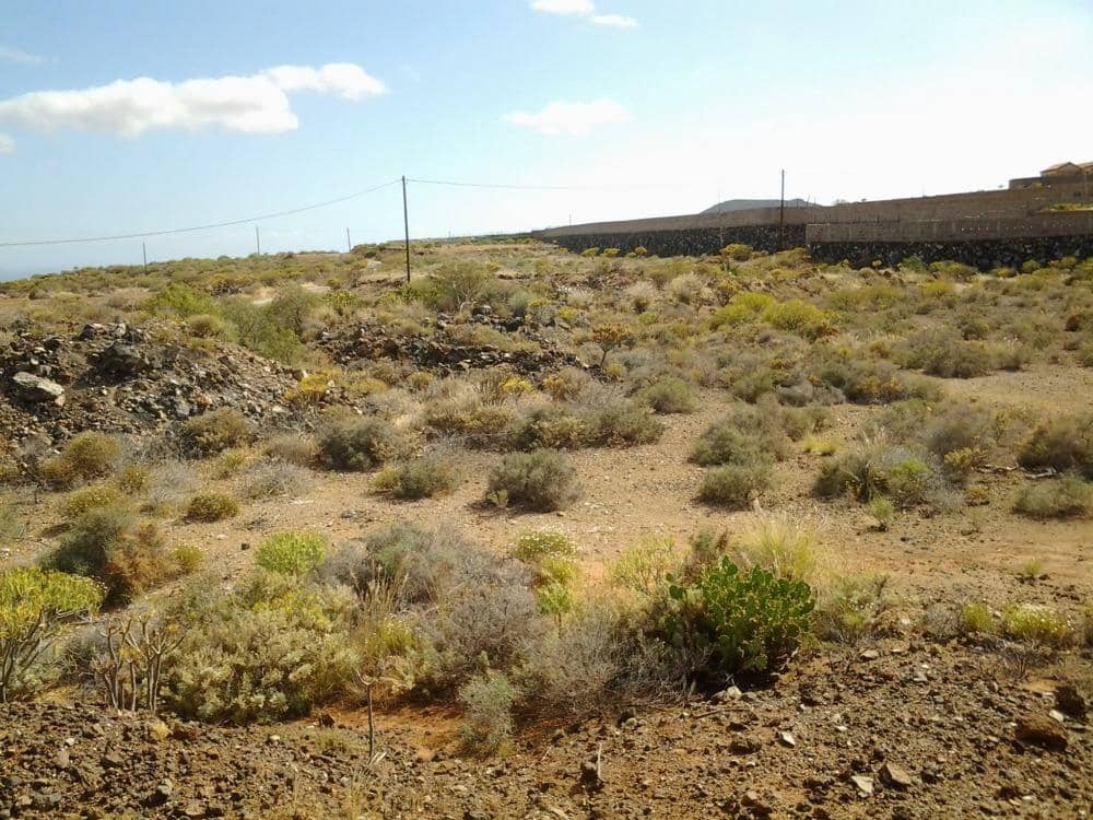 Grunde uden byggetilladelser til salg i San Isidro de Abona - € 80.000 (Ref: 9189640)