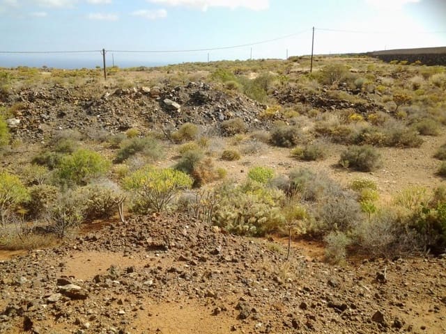 Terre non Aménagée à vendre à San Isidro de Abona, Granadilla de Abona - 80 000 € (Ref: 9189640)