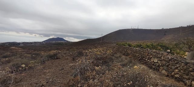 Undeveloped Land for sale in Granadilla de Abona - € 158,000 (Ref: 9322641)