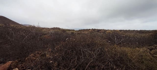 Undeveloped Land for sale in Granadilla de Abona - € 158,000 (Ref: 9322641)