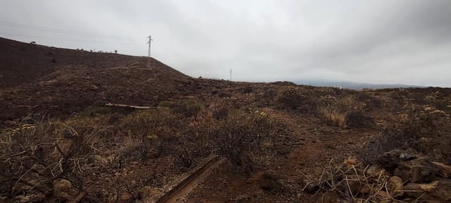 Undeveloped Land for sale in Granadilla de Abona - € 158,000 (Ref: 9322641)