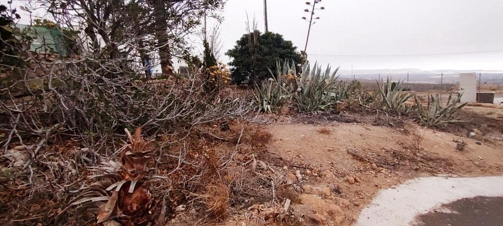 Undeveloped Land for sale in Chimiche - € 16,000 (Ref: 9373960)