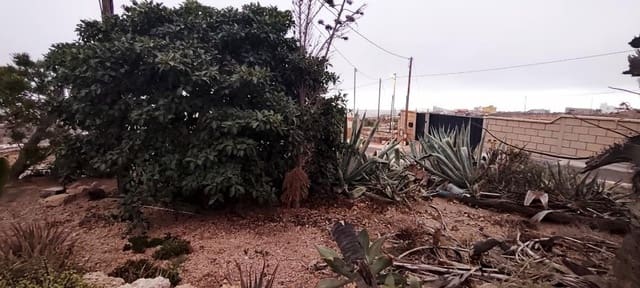 Undeveloped Land for sale in Chimiche, Granadilla de Abona - € 16,000 (Ref: 9373960)