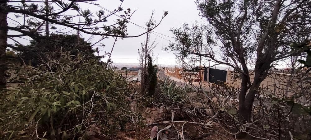 Undeveloped Land for sale in Chimiche - € 16,000 (Ref: 9373960)