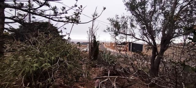 Undeveloped Land for sale in Chimiche, Granadilla de Abona - € 16,000 (Ref: 9373960)