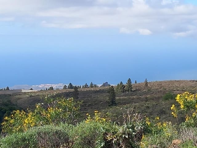 Undeveloped Land for sale in Vilaflor - € 170,000 (Ref: 9491302)