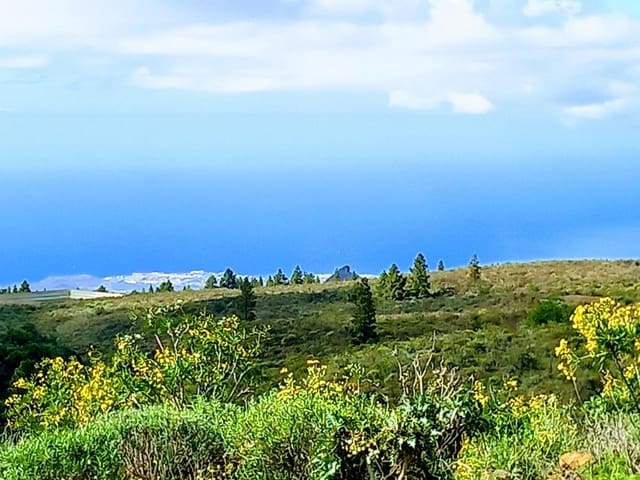 Undeveloped Land for sale in Vilaflor - € 170,000 (Ref: 9491302)