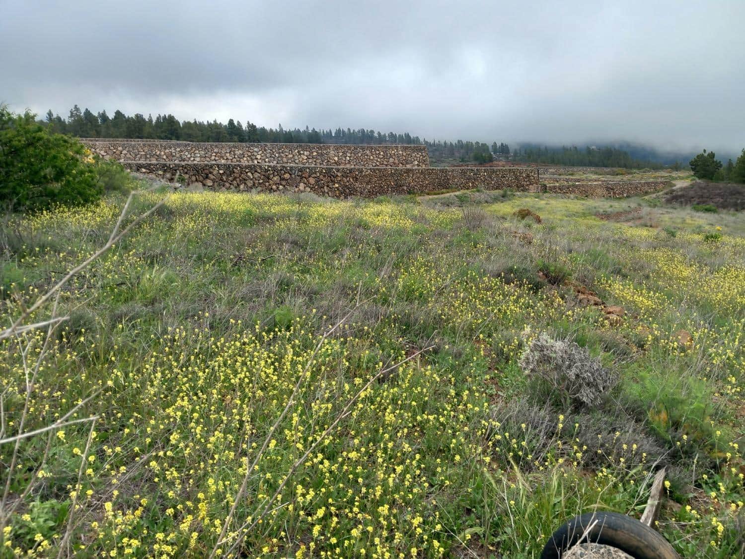 Undeveloped Land for sale in Vilaflor - € 170,000 (Ref: 9491302)