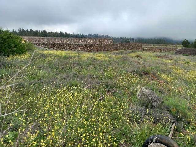 Undeveloped Land for sale in Vilaflor - € 170,000 (Ref: 9491302)