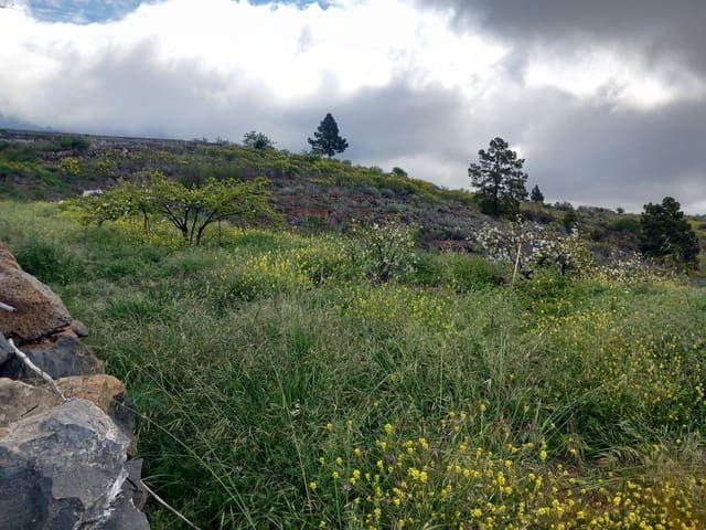 Undeveloped Land for sale in Vilaflor - € 170,000 (Ref: 9491302)