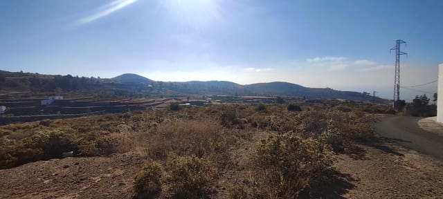 Terreno Non Edificato in vendita in Charco del Pino, Granadilla de Abona - 190.000 € (Rif: 9536783)