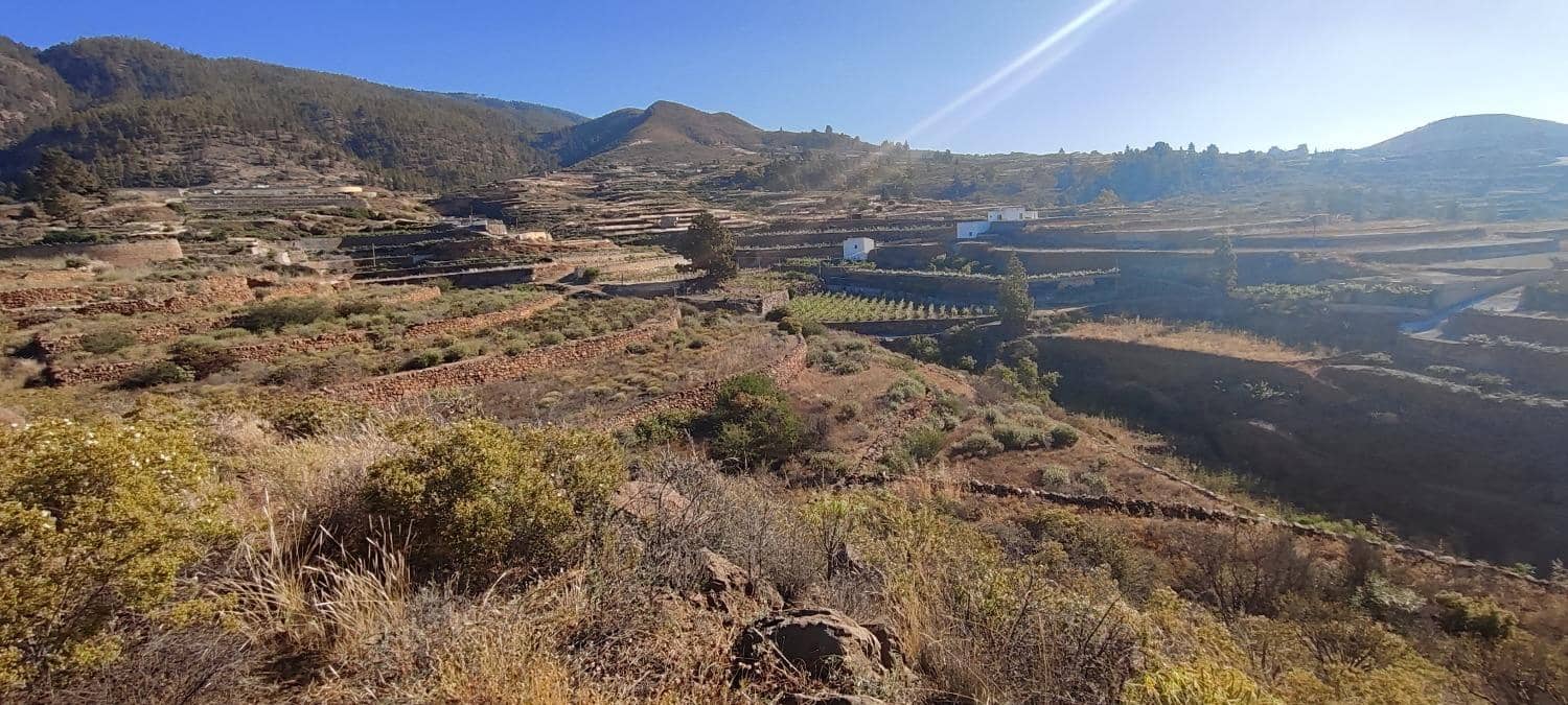 Terreno Non Edificato in vendita in Charco del Pino - 190.000 € (Rif: 9536783)