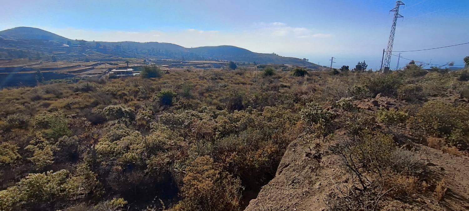 Terreno Non Edificato in vendita in Charco del Pino - 190.000 € (Rif: 9536783)