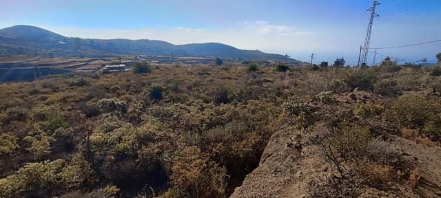 Terreno Non Edificato in vendita in Charco del Pino, Granadilla de Abona - 190.000 € (Rif: 9536783)