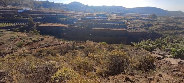 Terreno Non Edificato in vendita in Charco del Pino, Granadilla de Abona - 190.000 € (Rif: 9536783)