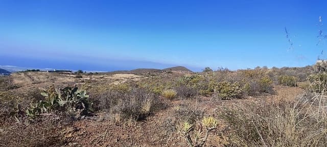 Terreno Non Edificato in vendita in Charco del Pino, Granadilla de Abona - 190.000 € (Rif: 9536783)