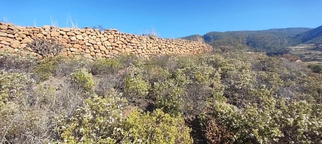Terreno Non Edificato in vendita in Charco del Pino, Granadilla de Abona - 190.000 € (Rif: 9536783)