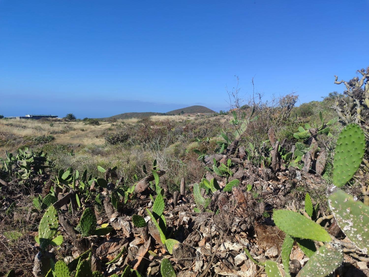 Terreno Non Edificato in vendita in Charco del Pino - 190.000 € (Rif: 9536783)