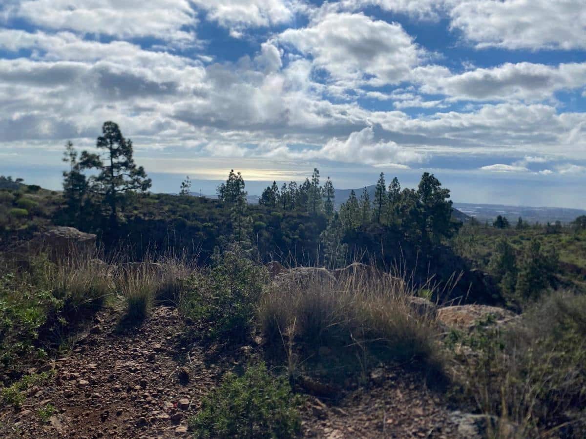 Terreno Non Edificato in vendita in Charco del Pino - 160.000 € (Rif: 9536784)