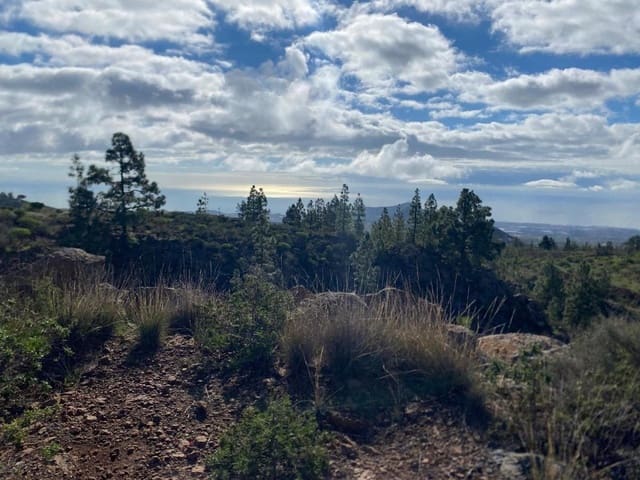 Terreno Non Edificato in vendita in Charco del Pino, Granadilla de Abona - 160.000 € (Rif: 9536784)