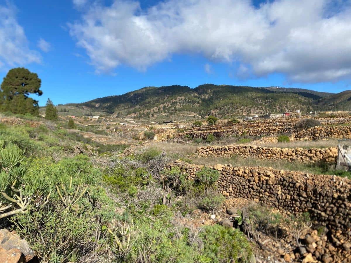 Terreno Non Edificato in vendita in Charco del Pino - 160.000 € (Rif: 9536784)