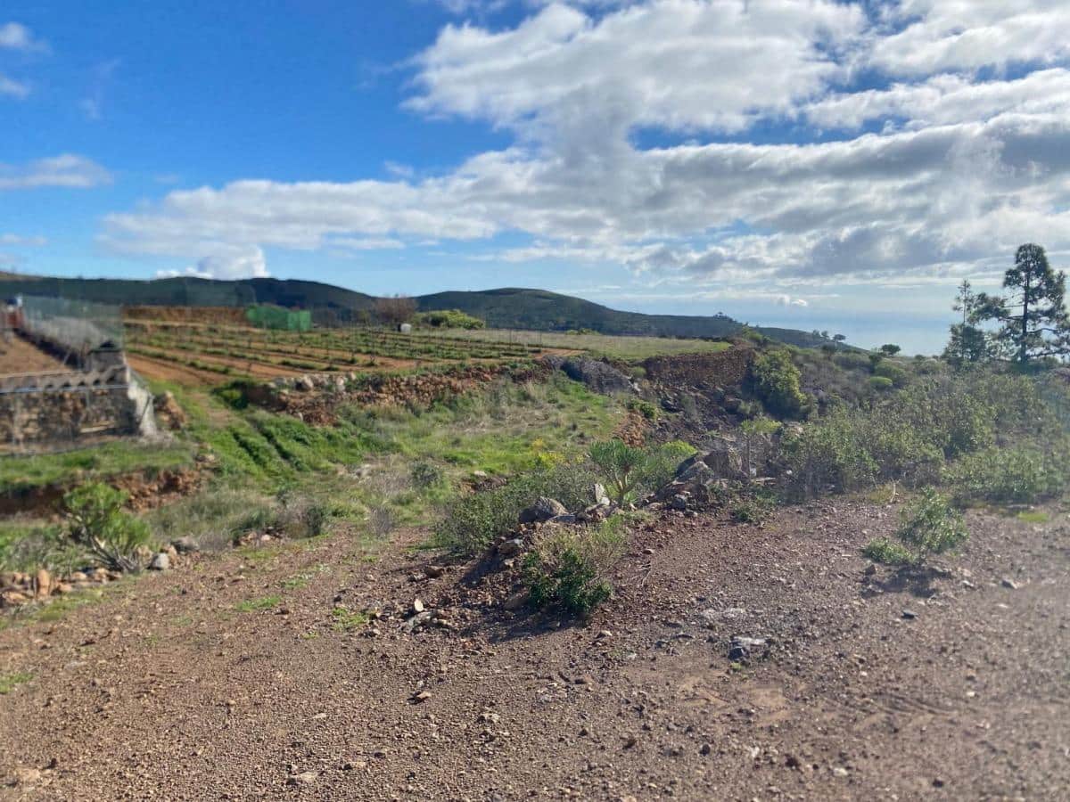 Terreno Non Edificato in vendita in Charco del Pino - 160.000 € (Rif: 9536784)